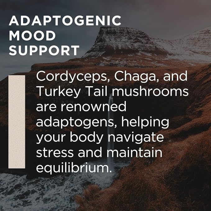 Vital Mushroom, Super Complex Blend Gummies, Nootropic, Cognitive Clarity, Gut Support, Immune Fortifying, Delicious Raspberry Flavor.