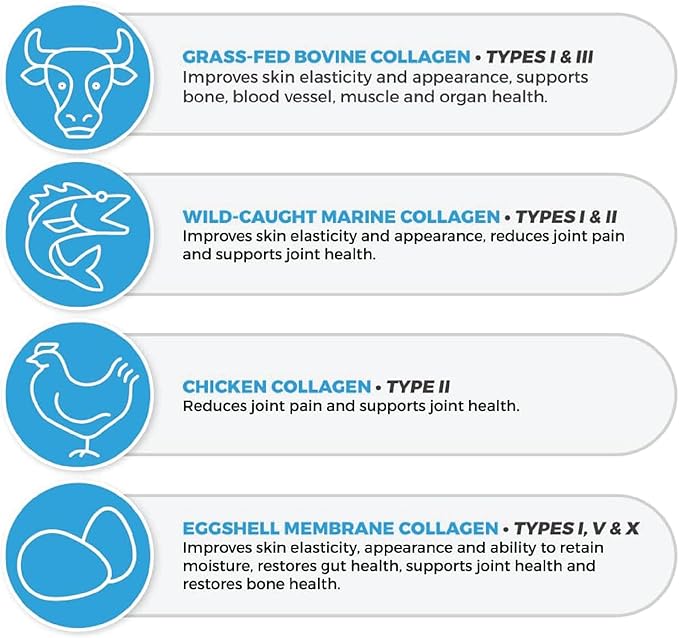 ProHealth Longevity Collagen Peptides Powder - for People Over 40. 20g Multi Collagen. 2g Pro-Collagen. Hyaluronic Acid. Type I, II, III, V, X for Joints, Bones, Hair, Skin, Muscles, Gut - 30 Servings