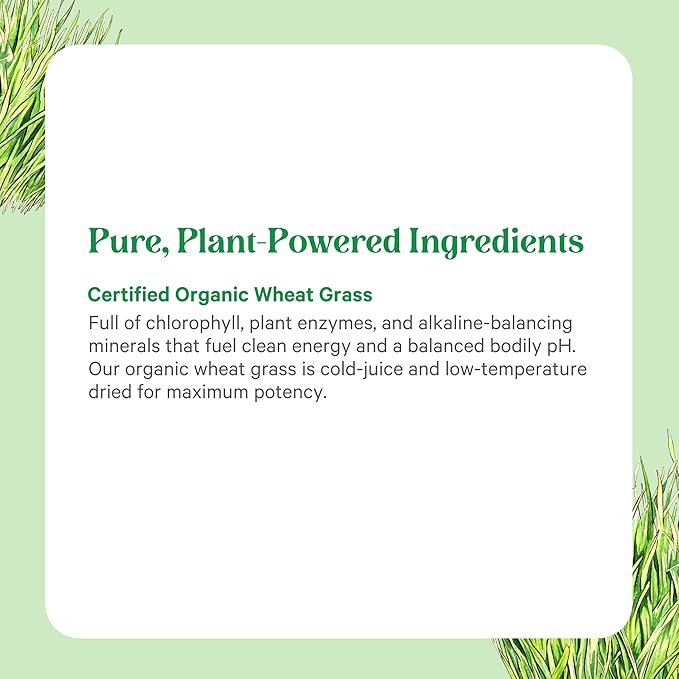 PURE SYNERGY Organic Wheat Grass Juice Powder | Chlorophyll-Rich Green Juice Powder | Raw Organic USA Wheat Grass | for Energy, Alkaline Balance, and Digestion Support (5.3 oz.)