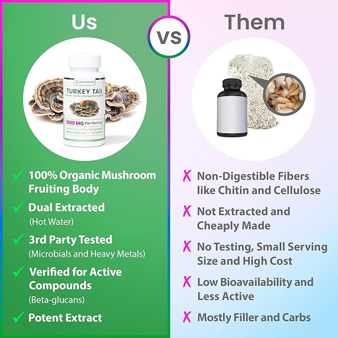 ENCAPSULATE Turkey Tail Capsules 1000mg – Premium Organic Fruiting Body 1:1 Extract – Adaptogen Mushroom Supplement for Digestive, Gut & Immune Support – Lab Tested & Max Bioavailability – 60 Count