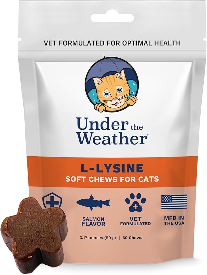 Under the Weather Pet Daily Cat L-Lysine | Boost Immune System Reduce Respiratory Symptoms | Maintain Normal Immune System Response | 60 Star Shaped Soft Chews