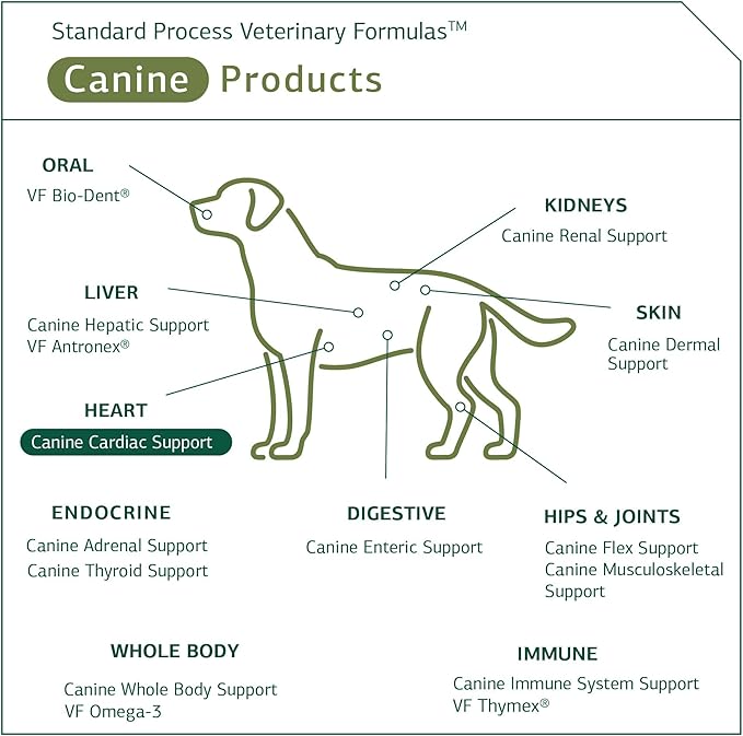 Standard Process Inc. Canine Cardiac Support - Dog Heart Health Supplement - Nutritional Formula to Support Cardiac Function - Pet Health Supplement with Selenium - 25 g