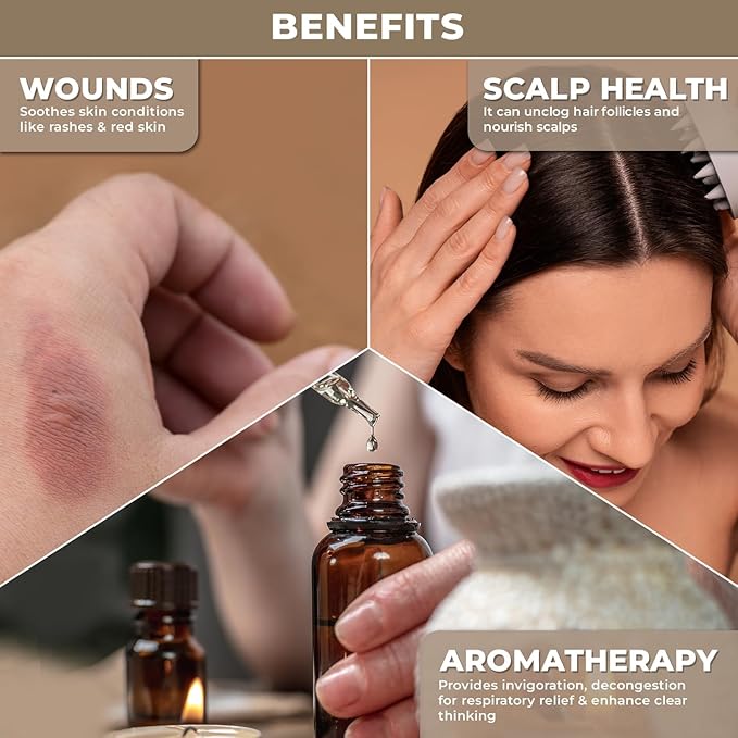 100% Plant Based Organic Camphor Essential Oil - Pure, Natural, Steam Distilled Camphor Oil for Aromatherapy, Skin and Hair Care | Alcanfor | Therapeutic Grade Essential Oil for Humidifier & Diffuser