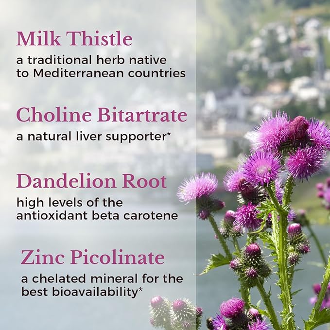Vitalitown Milk Thistle Complex | 30X Extract & Std. 80% Silymarin | Choline + Dandelion Root + Zinc | Superior Liver & Antioxidant Support | Vegan, Non-GMO, No Dairy | 600 mg | 60 Veggie Caps