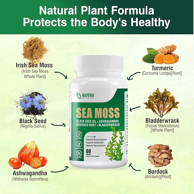 Sea Moss Black Seed Oil Ashwagandha Ginger Supplement - Irish Sea Moss with Turmeric, Bladderwrack & Burdock - 16 in 1 Immune, Joint and Gut Support - 60 Capsules