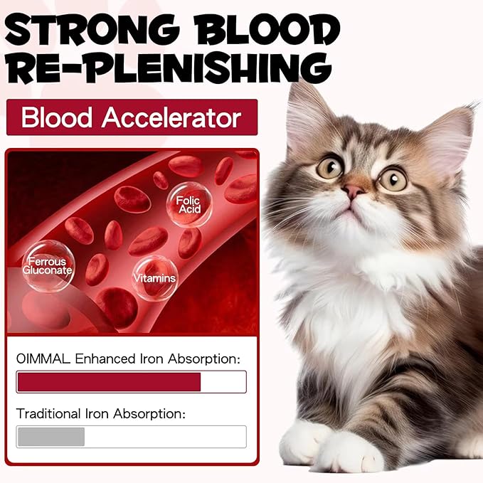 Liquid Iron Supplements for Cats and Kittens - with Folate and B12 – Supplements Anemia, Promotes Blood Health, Oxygen Supply and Blood Cell Formation – Increase Low Energy Levels – Lethargy - 2 oz