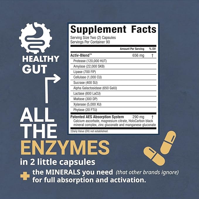 HoloZyme Max Strength Digestive Enzymes | Prevents Bloating, Gas, & Indigestion w/Protease, Amylase, Lipase, Lactase, and More | 90 Servings