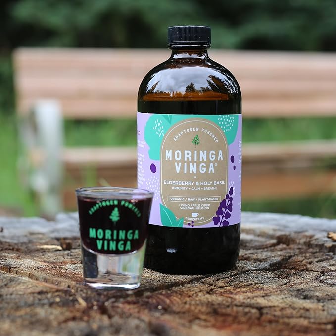 VINGA Organic Elderberry & Holy Basil Moringa Infusion – Daily Herbal Tonic with Apple Cider Vinegar, Ginger, Hibiscus, Honey | Supports Immune & Overall Wellness | Non-GMO, 16 oz