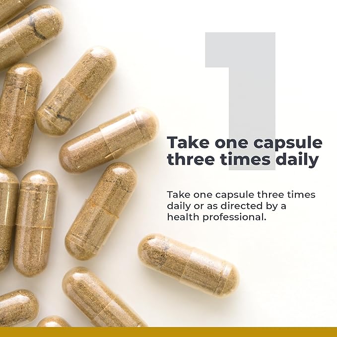 Premier Research Labs Cereven - Brain Support Supplement with Rhodiola Extract, Marine Coral & Turmeric - Herbal Extracts Dietary Supplements - 60 Plant-Source Capsules