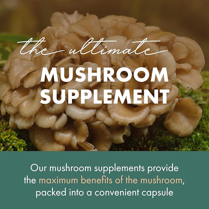 PURE ESSENCE LABS MyPure Maitake Mushrooms - Mushroom Powder Supplement for Immune System Support, Stress Relief, Build Energy, Strength Booster for Men & Women - 1 Month Supply