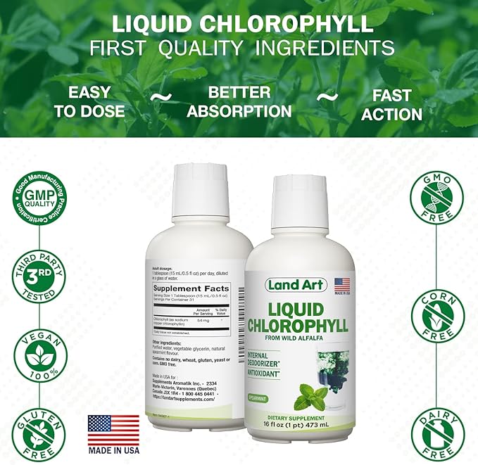 Land Art Aloe Vera Juice - Pomegranate Flavored - Cold Processed - Inner Filet from Organic Fresh Leaves - 64floz + Liquid Chlorophyll Mint Flavored - Cold Extracted from Wild Non-GMO Alfalfa - 16floz