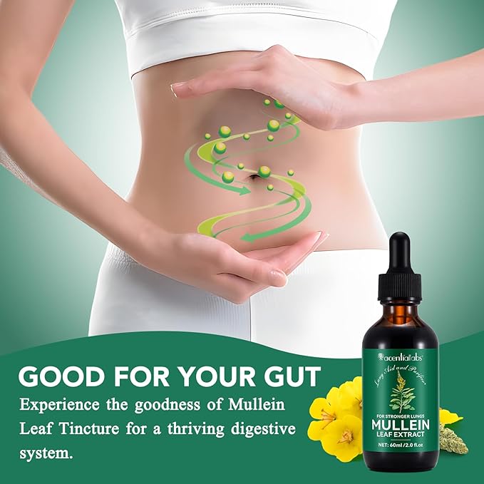 Mullein Drops, Mullein Leaf Extract for Lungs, Mulleins Leaf Drops for Lung Cleanse and Phlegm, Fast Absorption Powerful Mulleins Extract for Stronger Lungs (1)
