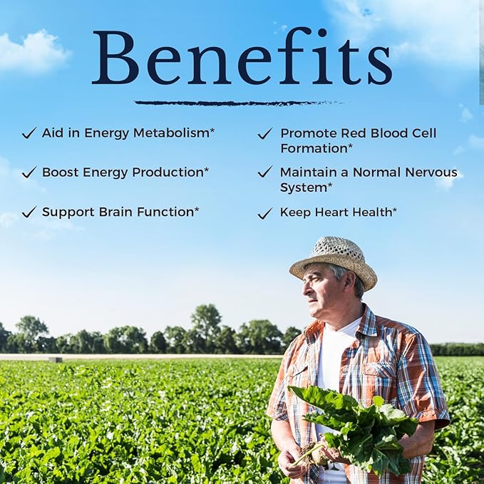 Vitalitown Vitamin B12 (Methyl B12) 5000 mcg, Fully Bioactive Form, Support Energy Production, Natural Peach Flavor, Zero Sugar, 240 Fast Dissolve Tablets