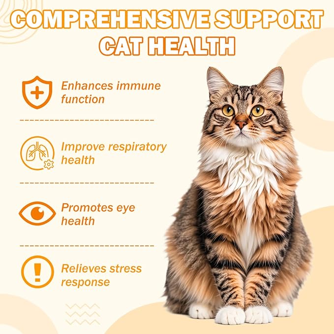 L-Lysine Supplement for Cats 1000 mg/Scoop L Lysine Oral Powder with L-Lysine Prebiotics Krill DMG for Kittens Sneezing Runny Nose Immune Respiratory System Eye Health 7 OZ Chicken Flavor