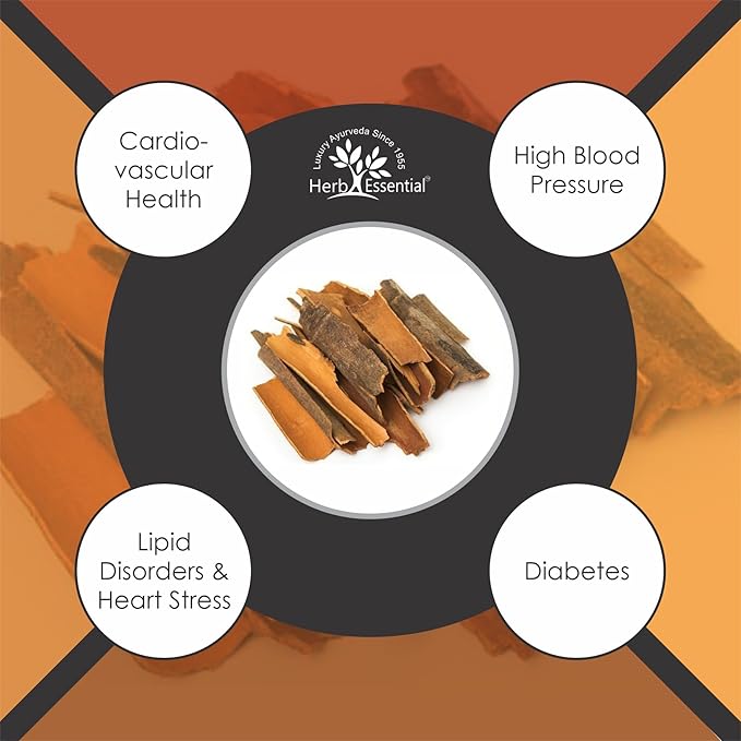 7.05 Ounce Arjuna Powder, Terminalia Arjuna Bark Supplement for Wellness, Polvo de corteza de Arjuna, No Preservatives, Vegan and GMP Certified- 3.52 Ounce (100g Pack of 2)