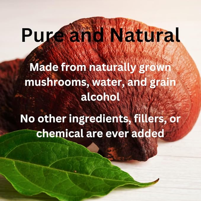 Reishi Tincture, Daily Supplement, Double Extracted for High Potency, 2 Fl oz, 60 doses