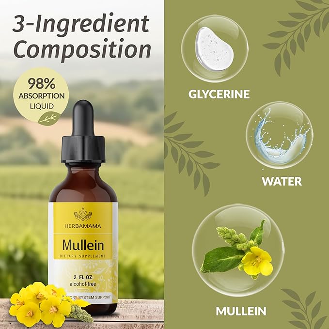 HERBAMAMA Liquid Drops Kit - Bundle of Turmeric Ginger Extract and Mullein Leaf Tincture 2 fl oz - Vegan, Non-GMO, Sugar & Alcohol-Free - 2 Pack