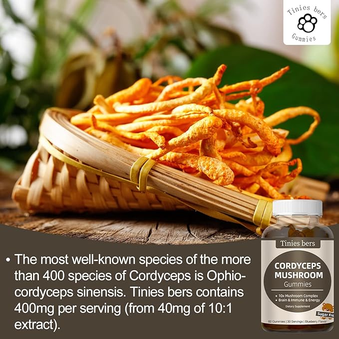 St John's Wort Gummies 500mg, Sugar Free and Cordyceps Gummies, Sugar Free 10x Blend Mushroom Gummies