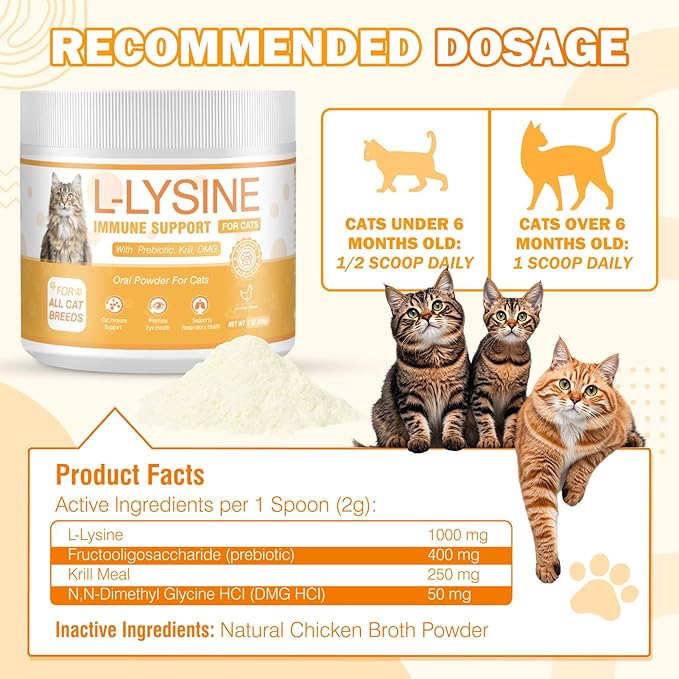 L-Lysine Supplement for Cats 1000 mg/Scoop L Lysine Oral Powder with L-Lysine Prebiotics Krill DMG for Kittens Sneezing Runny Nose Immune Respiratory System Eye Health 7 OZ Chicken Flavor