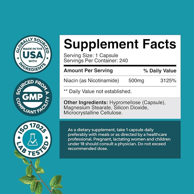 Vitamin B3 Niacinamide 500mg Capsules - Mitochondrial Energy and Potent Skin Supplement - AKA Vitamin B3 Niacin 500mg Flush Free and Nicotinamide 500mg - Flush Free Niacin Supplement - 240 Count