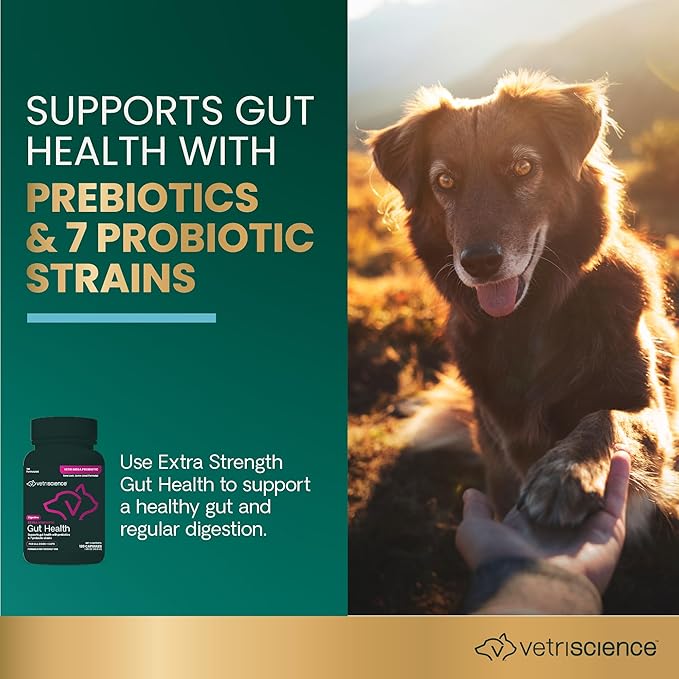 VetriScience Extra Strength Gut Health Probiotic & Prebiotic Digestive Supplements for Dogs & Cats, Gas & Diarrhea & Immune Support, Easy-Open Capsules, 120 Count - New Look