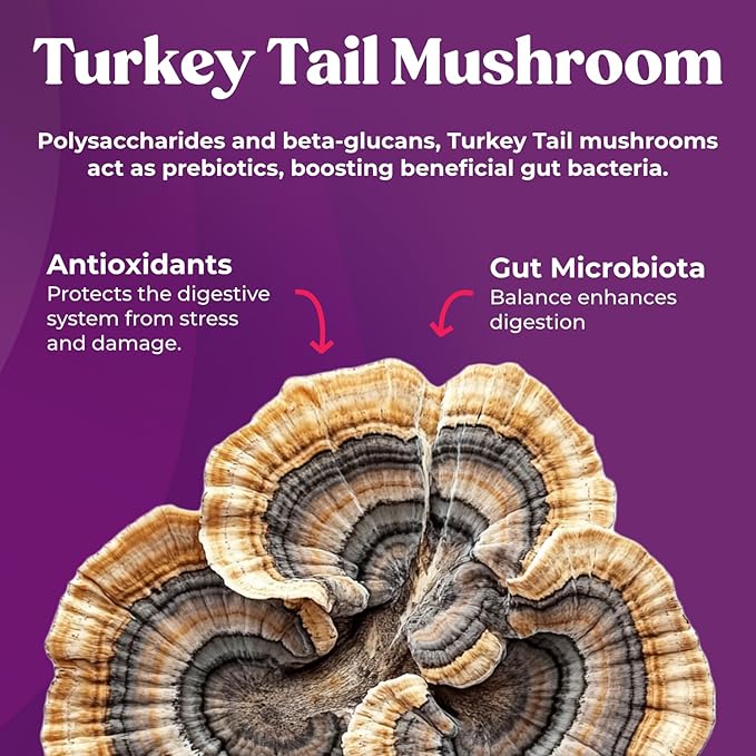 Super Prune Kids - Great for Constipation Relief - Mushroom Supplement - Turkey Tail Mushrooms, Fiber, Rhubarb, Prunes, Ginger, Chamomile (30 Mushroom Gummies)