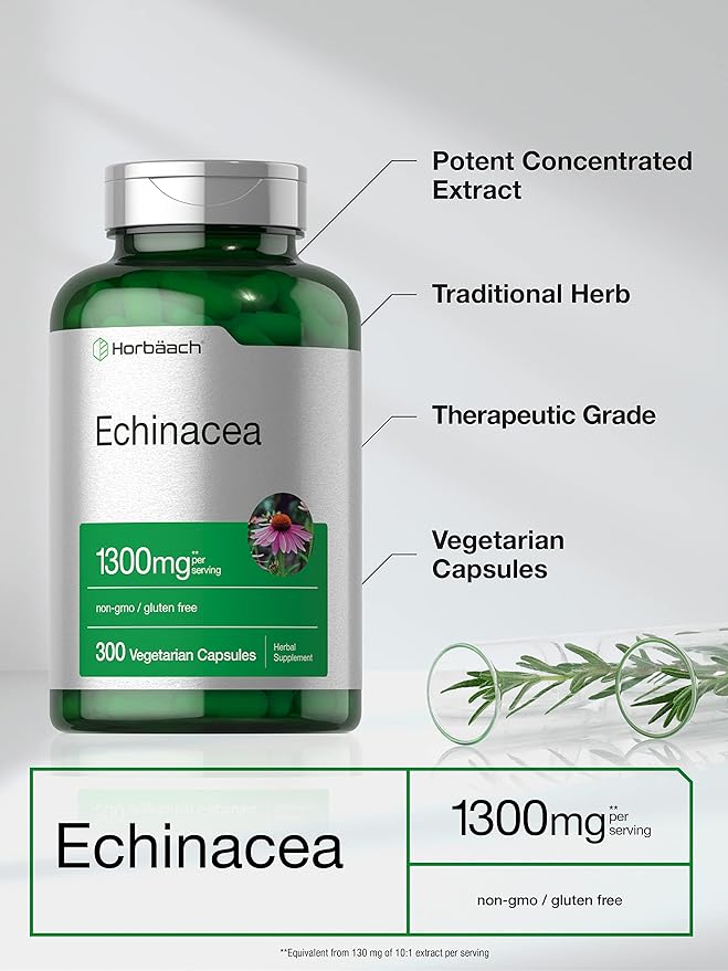 Horbäach Echinacea Extract Capsules 1300mg | 300 Count | Vegan, Non-GMO, Gluten Free Supplement