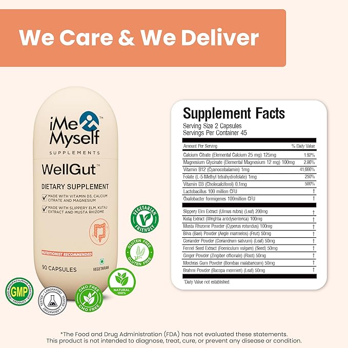 WellGut Daily Herbal Supplement | Traditional Herbs with Minerals & Probiotics 90 Vegan Capsules