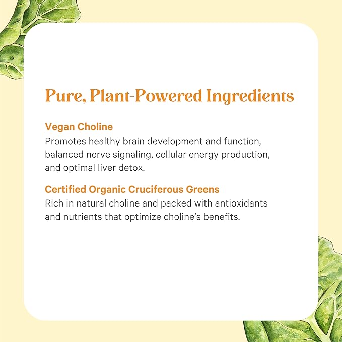PURE SYNERGY Choline Complex | Vegan Choline Supplement Made with Organic Whole Foods | Non-GMO Bioavailable Complex | for Pregnancy, Brain, and Liver Health (60 Tablets)