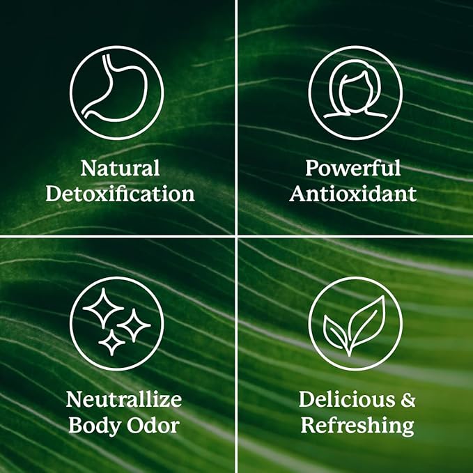 Nature's Sunshine Chlorophyll Stick Packs: Supercharge Your Detox and Boost Gut Health in Convenient, Delicious Stick Packs (Spearmint)