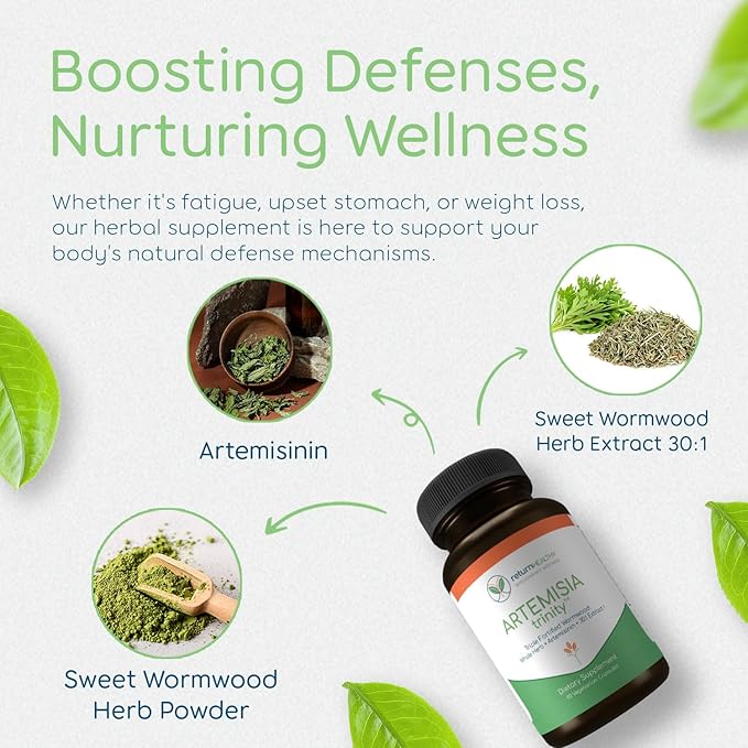 Artemisia Trinity | Cleansing for Adults with Wormwood Herb & Artemisinin 30:1 Extract | Resistance & Digestive Support | Herbal Supplements | Pure, Plant-Based, 90 Caps