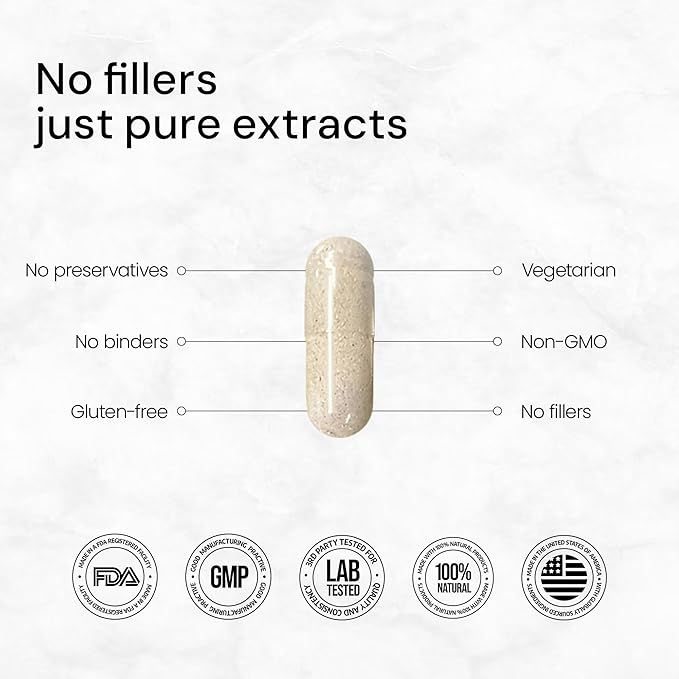 ACEWORKZ Elite Brain - Nootropic Brain Supplement for Focus, Memory, & Mental Clarity - ALCAR, Lions Mane, ALA, L-Theanine, Vitamin B Complex - Natural Energy, Caffeine-Free (60 Capsules)