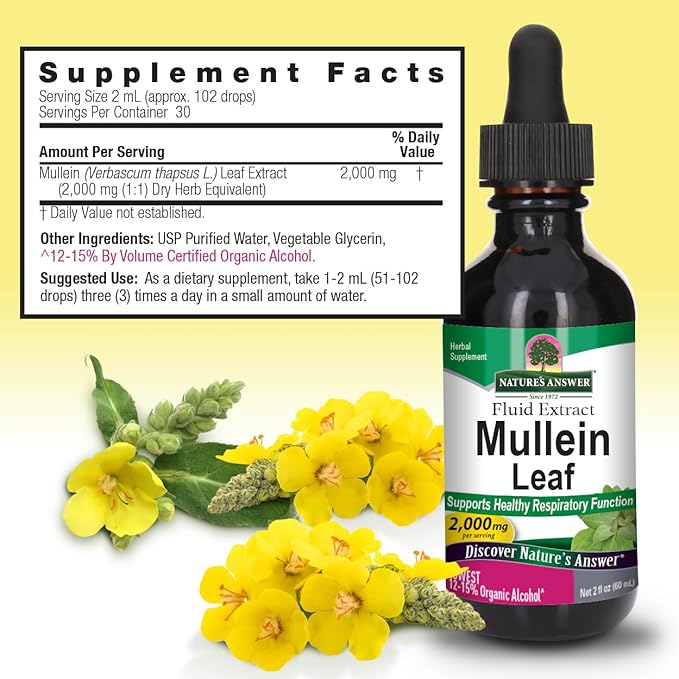 Natures Answer Mullein Leaf Low Alcohol 2000mg 2 oz Extract | Supports Respiratory Wellness | Gluten-Free, Vegan, Non-GMO, No Artificial Flavors or Preservatives | Single Count