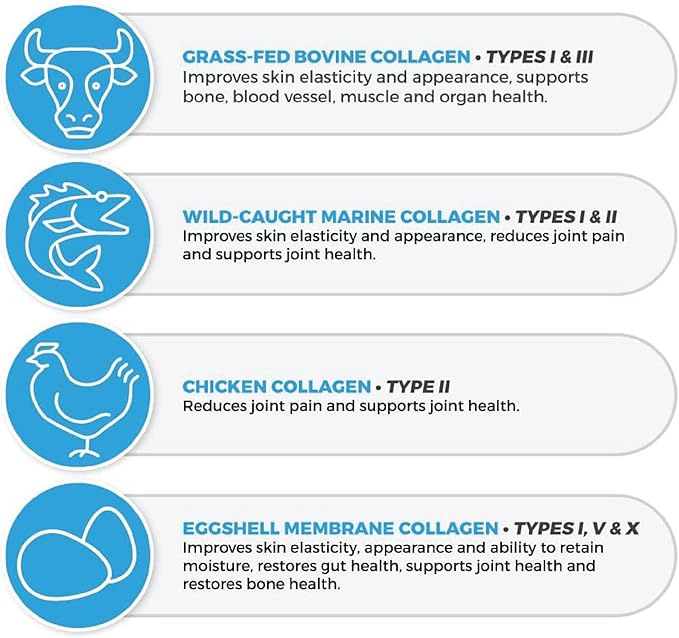 ProHealth Longevity Collagen Peptides Powder - for People Over 40. 20g Multi Collagen. 2g Pro-Collagen. Hyaluronic Acid. Type I, II, III, V, X for Joints, Bones, Hair, Skin, Muscles, Gut - (3 Pack)