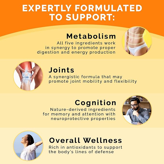 5-in-1 Ceylon Cinnamon Capsules 2355mg - Ceylon Cinnamon and Apple Cider Vinegar with Turmeric, Panax Ginseng, Cinnamon, and Bioperine, 120 ct