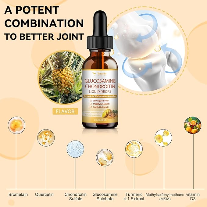 (2 Packs) Glucosamine Chondroitin MSM Support Joint Health - Chondroitin Sulfate Supplement Turmeric, Quercetin, Bromelain, MSM Oil