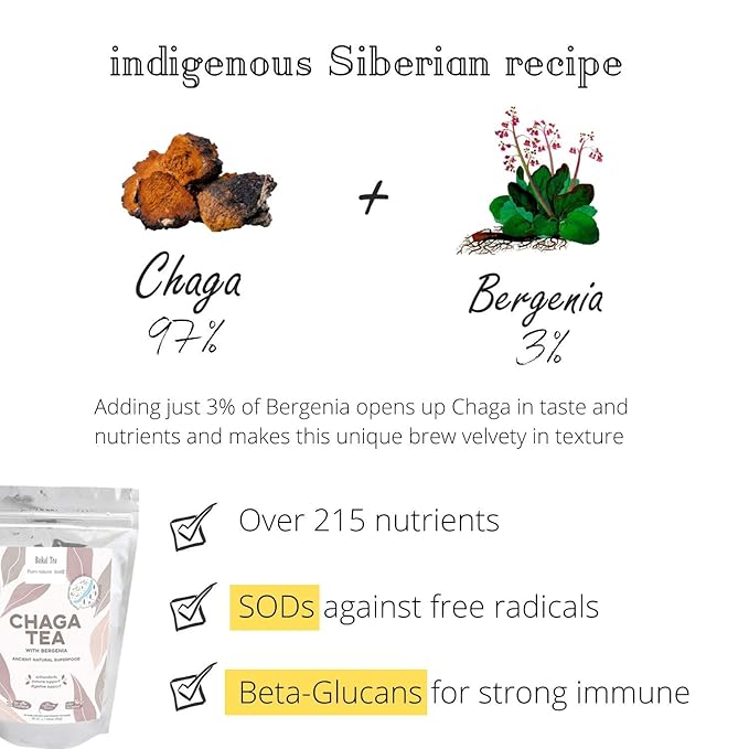 Chaga Tea - 100% Wild Chaga Mushrooms with Bergenia - 30 Unbleached Tea Bags - from Wild Siberian Lake - Hand-Picked by Baikal Tea