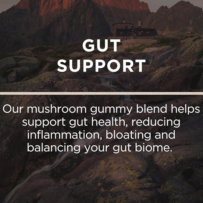 Vital Mushroom, Super Complex Blend Gummies, Nootropic, Cognitive Clarity, Gut Support, Immune Fortifying, Delicious Raspberry Flavor.