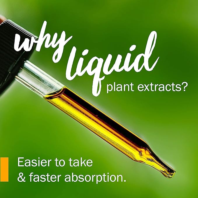 Herb Pharm Kids Certified-Organic Alcohol-Free Echinacea Glycerite Liquid Extract, 4 oz