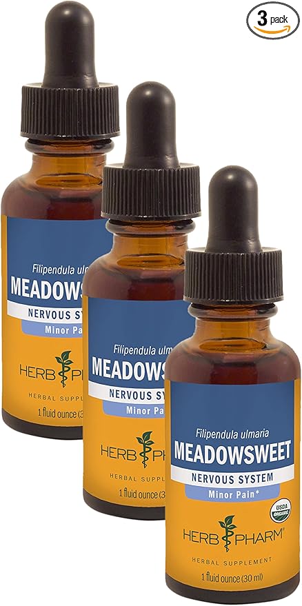 Herb Pharm Certified Organic Meadowsweet Liquid Extract for Minor Pain - 1 Ounce (DMEAD01) (Pack of 3)