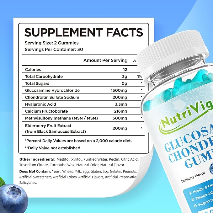 Glucosamine Chondroitin Gummies, Extra Strength Joint Support Supplement with MSM & Elderberry, Joint Support Supplement for Adults, Men & Women, Blueberry Flavor, 120 Count