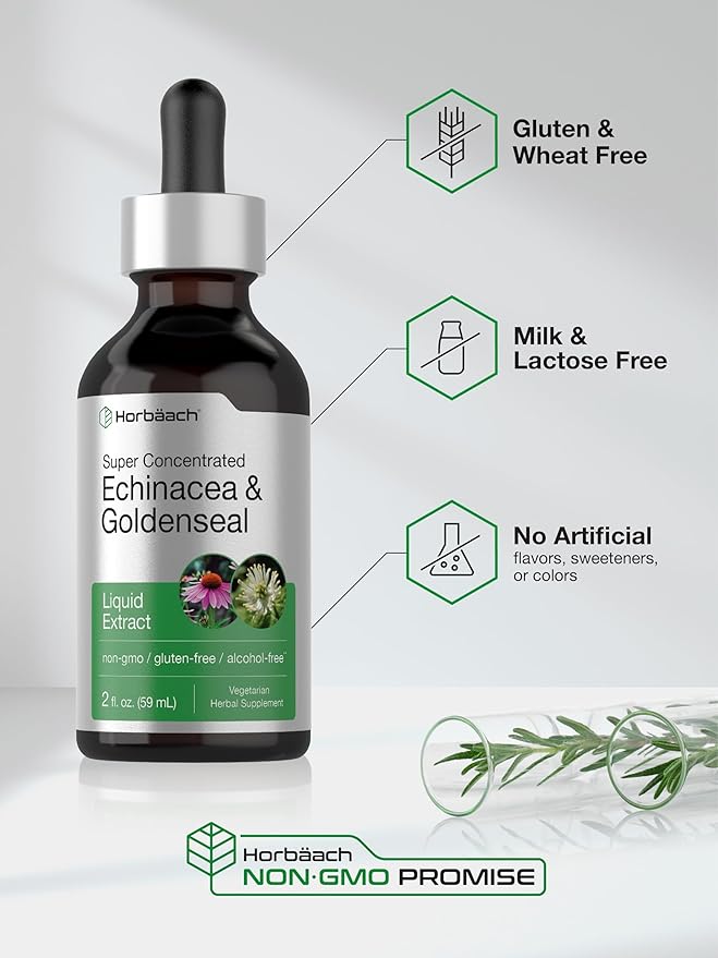 Horbäach Echinacea Goldenseal Liquid Extract | 2 fl oz | Alcohol Free Tincture Drops | Vegetarian, Non-GMO, Gluten Free
