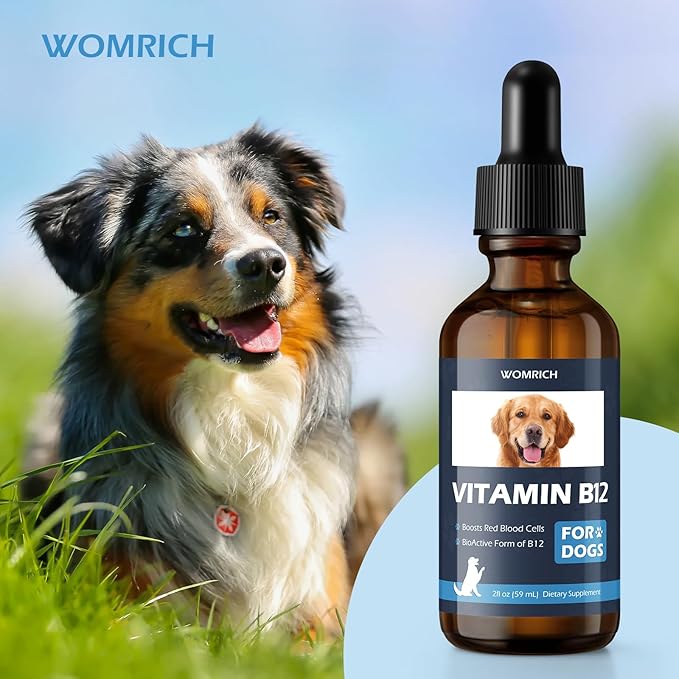 Vitamin B12 for Dogs | Methylcobalamin (Methyl B12) | Appetite Stimulant, Treatment of EPI in Dogs Boosts Red Blood Cell Formation, Energy, Nervous System, Treats Pancreatitis | 2 fl oz