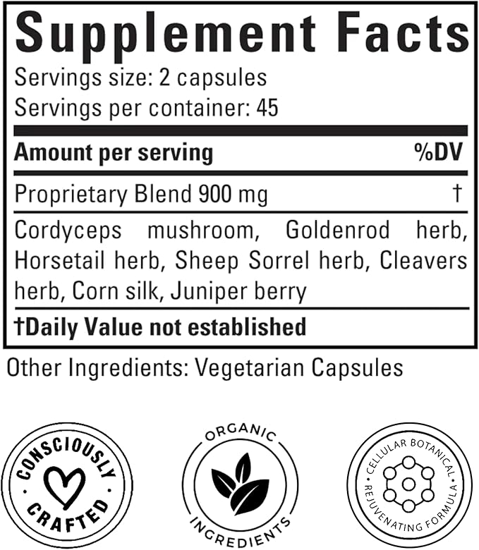 Doctor Morse's Kidney & Bladder Daily Cleanse - Support Urinary Tract Health & Elimination of Lymph - Organic & Naturopath Formulated - Cordyceps Mushroom, Juniper Berry, Horsetail Herb - 90 Capsules