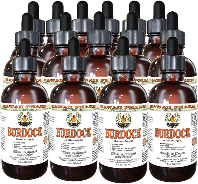 Burdock Alcohol-Free Liquid Extract, Organic Burdock (Arctium Lappa) Dried Root Glycerite Hawaii Pharm Natural Herbal Supplement 15x4 oz