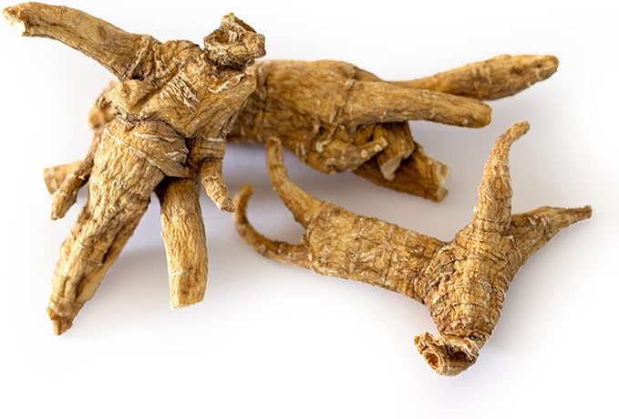 Dairyland American Ginseng Roots and Powder - 4 oz Pack Each of Wisconsin Ginseng – Direct from Farmer to Consumer 西洋参