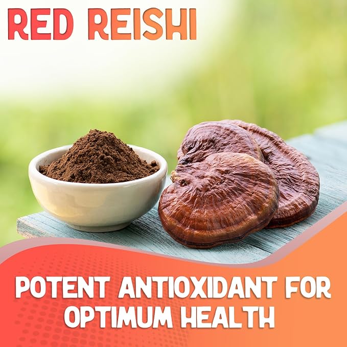 XPRS Nutra Fungi Fusion Organic Mushroom Powder Blend, Premium Blend of Lion's Mane, Reishi, Chaga, Cordyceps for Mental Clarity, Cognition, Energy and Immunity - 8 Ounce