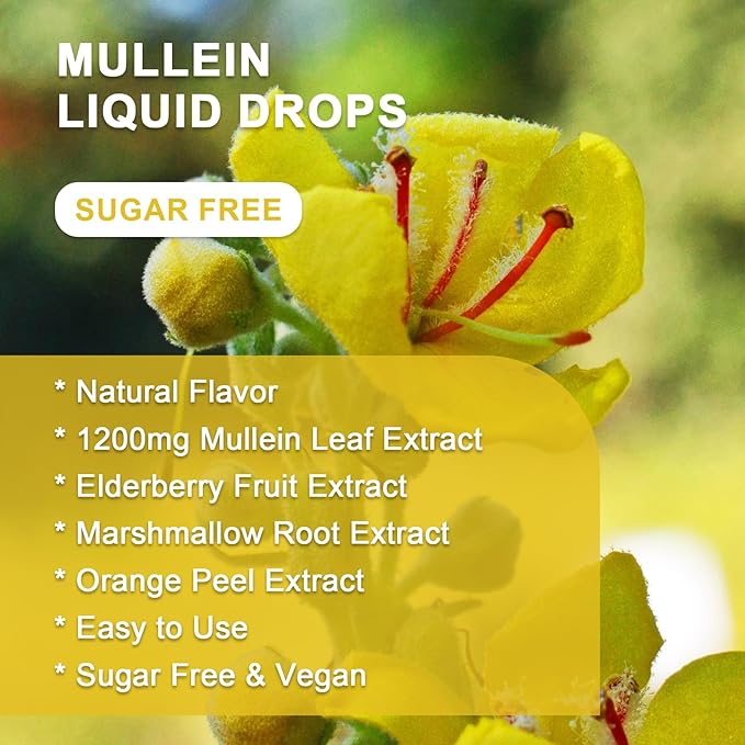 4-in-1 Mullein Leaves Extract Drops for Lungs - Respiratory Support and Lungs Cleanse, Mullein Liquid Supplements with Elderberry, Marshmallow Root & Orange Peel, Natural Flavor, 1 Fl Oz (2 Pack)