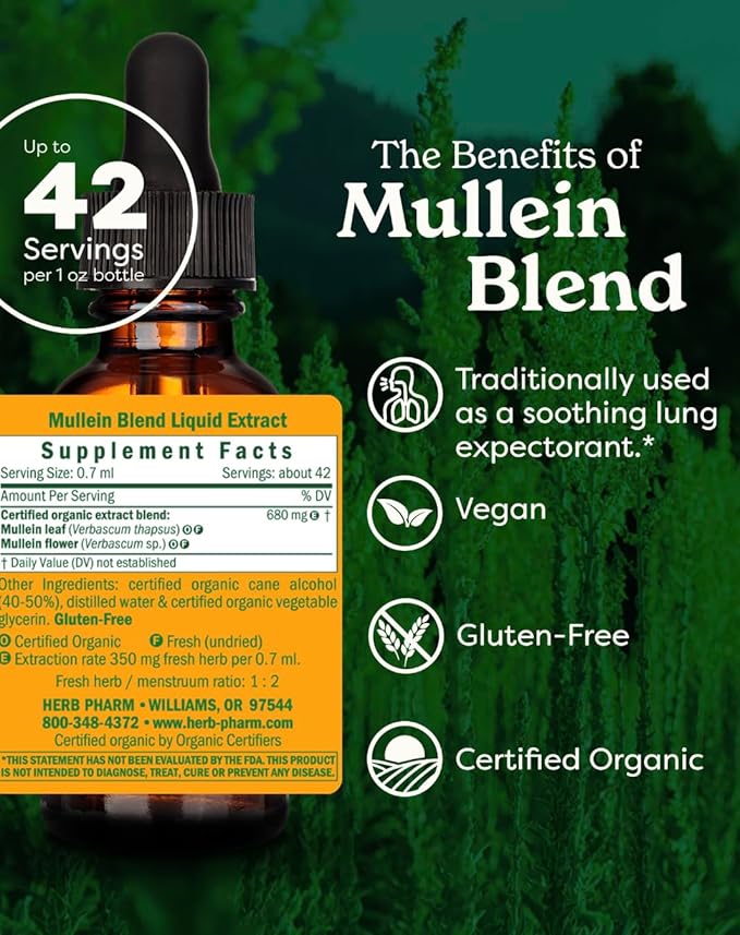 Herb Pharm Certified Organic Mullein Blend Liquid Extract for Respiratory System Support - 1 Ounce