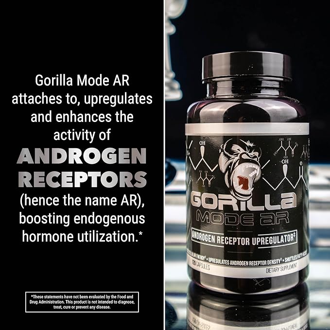 Gorilla Mind AR Carnitine 750mg Capsules Androgen Receptor Upregulator,Boosts Cellular Energy, Upregulates Androgen Receptor Density,Shuttles Fatty Acids (120 Capsules)